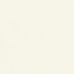 Meet your Posher, Katelynn